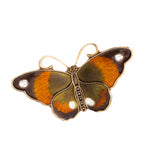 A Brown Orange White Butterfly by David Andersen